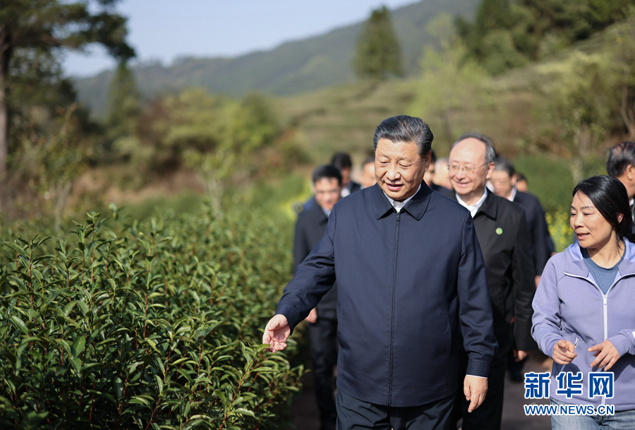 习进行时丨习的“茶之道”AG真人游戏平台入口学(图1)